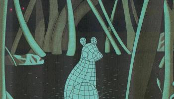 White-footed mice are the reservoir for Lyme disease