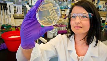 female scientist looking at a petri dish