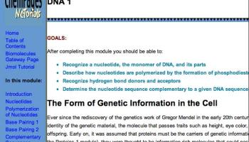 Screen from Biomolecules: DNA 1 module of Netorials
