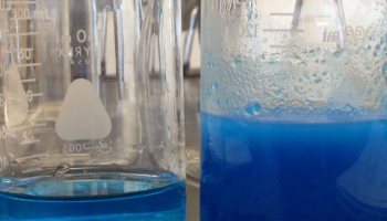 preview complex ions lab