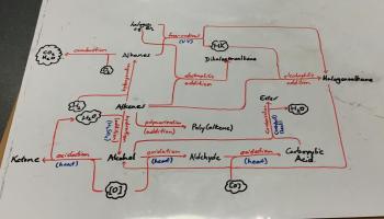 Student generated reaction pathways flowchart