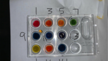 student photo of well plate showing results of unknown pH values