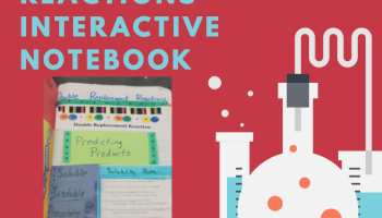 text: Reactions Interactive Notebook (preview image)