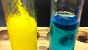 test tubes with sample reactions