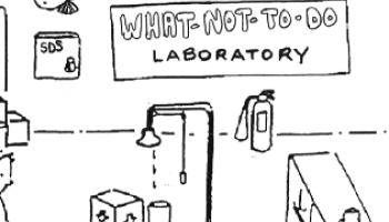 What Not To Do Lab