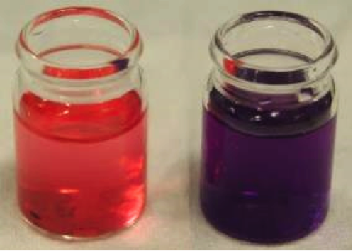 Example anthocyanin complex with Al3+. Blueberry extract (left) and extract containing Al3+ (right)