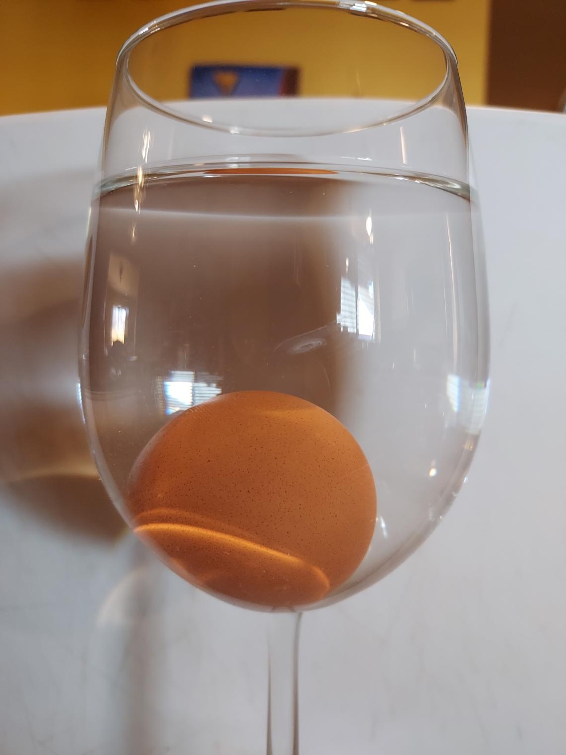 egg in fresh water
