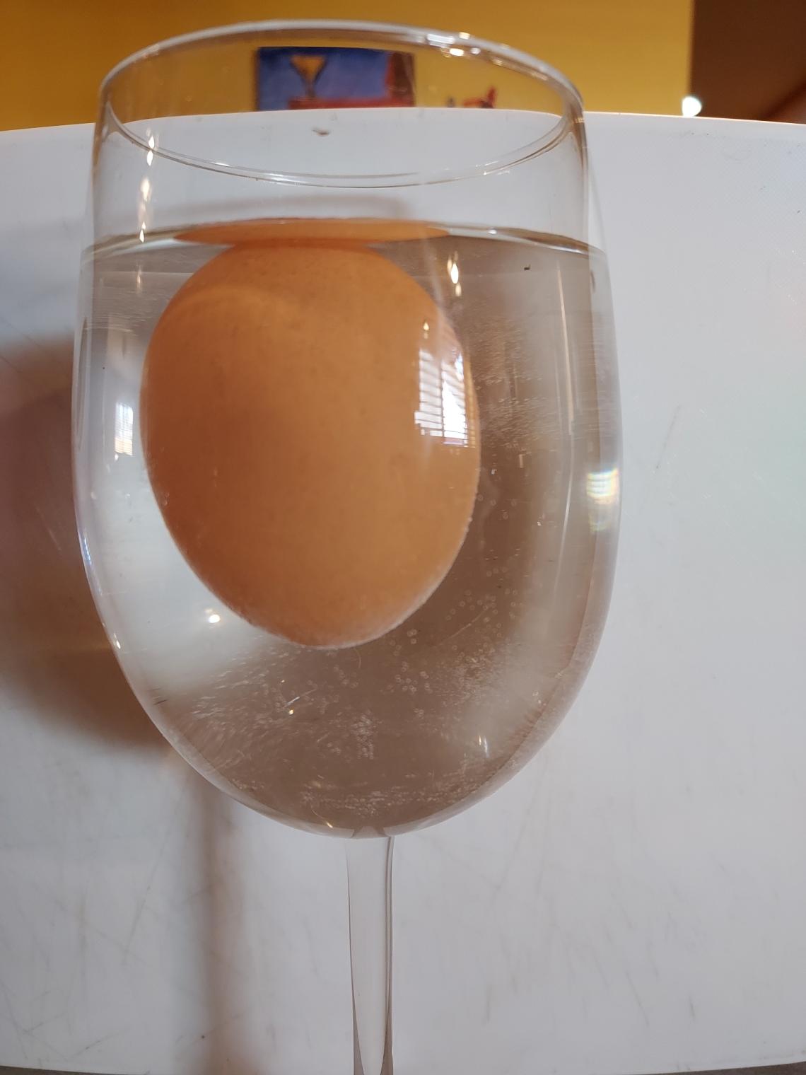 egg in salt water