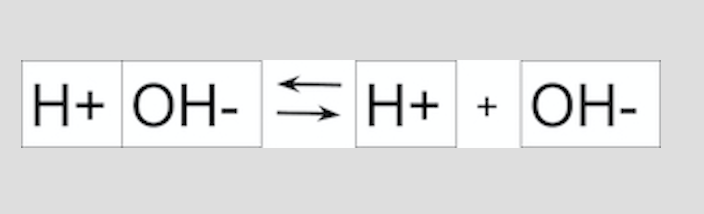 H+ OH- <> H+ OH-
