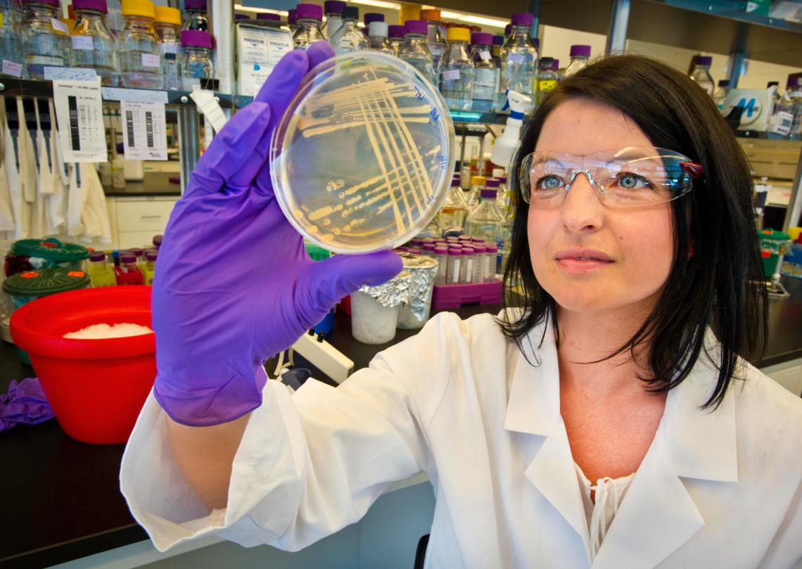 female scientist looking at a petri dish