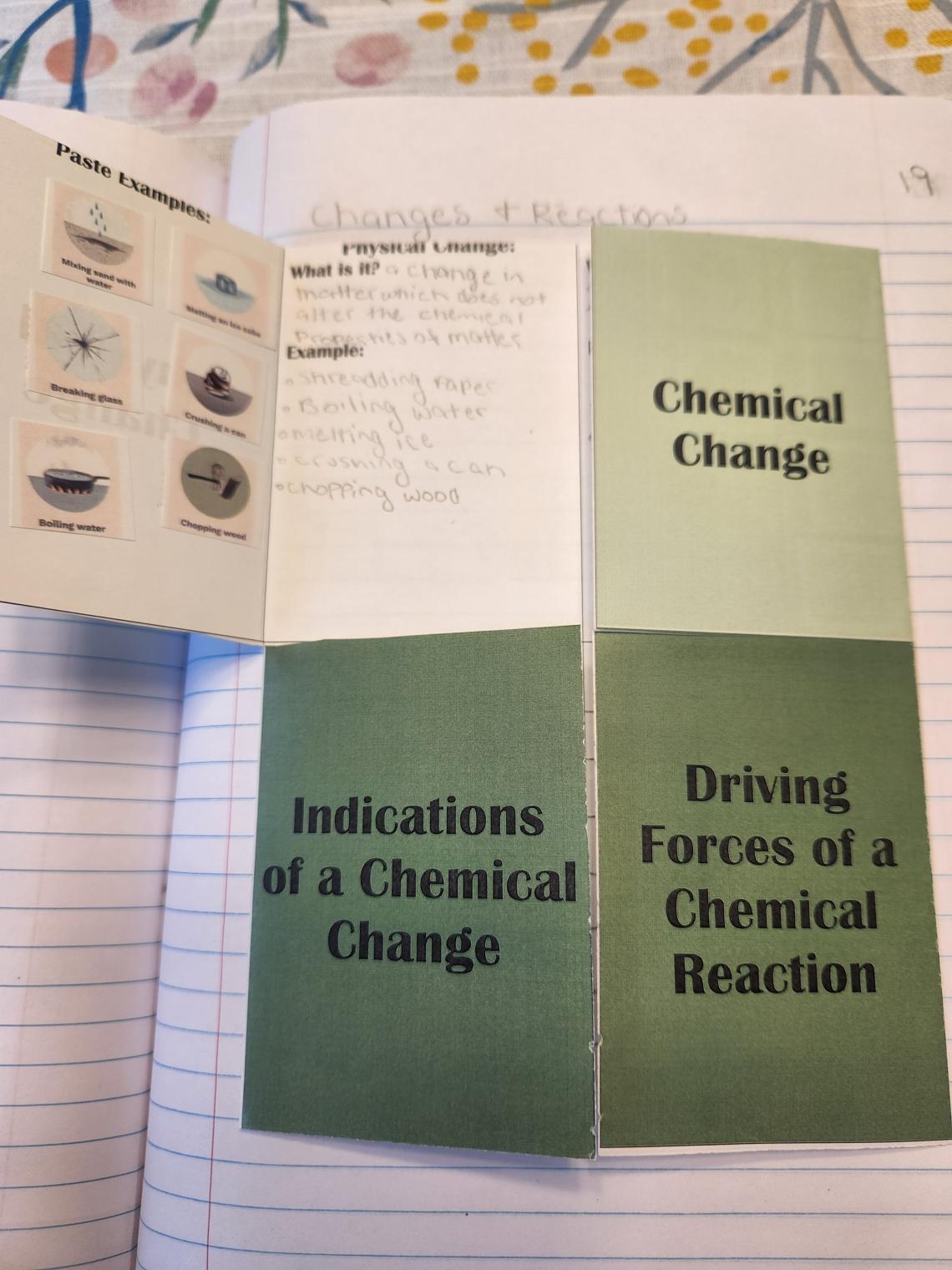 Changes &amp; Reactions INB page