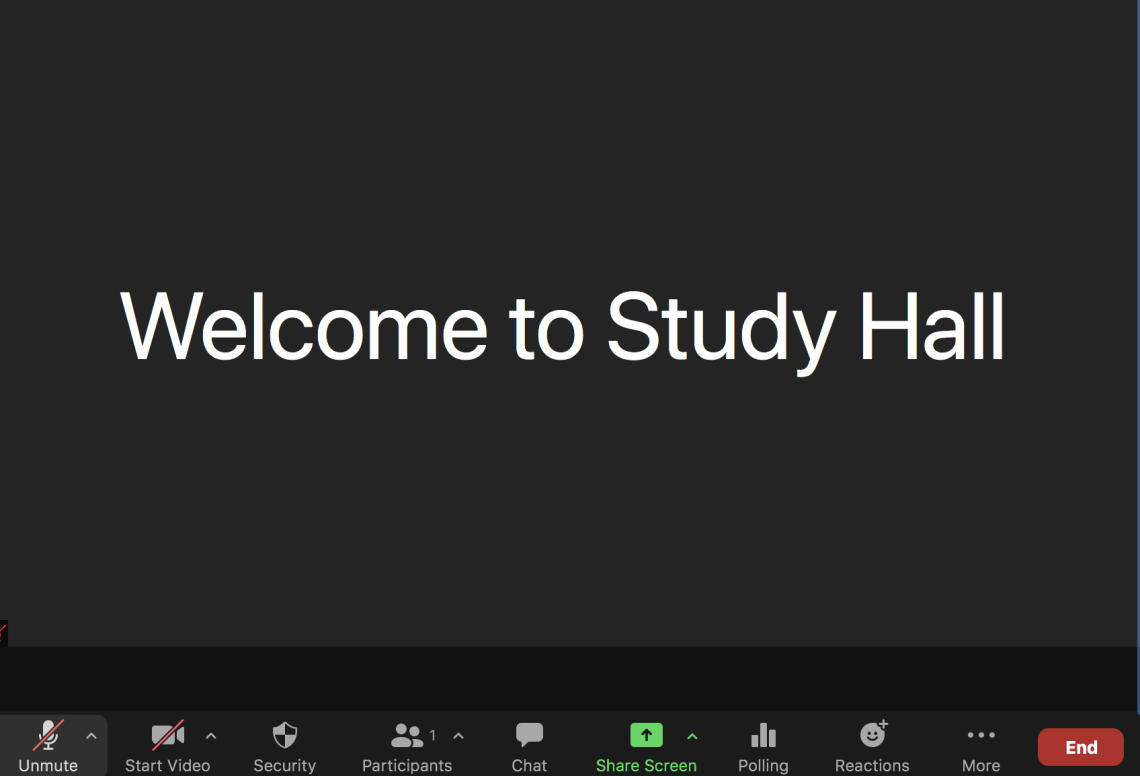 snapshot of the welcome to study hall message that students see on Zoom