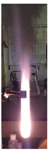 Gummy Bear Oxidation