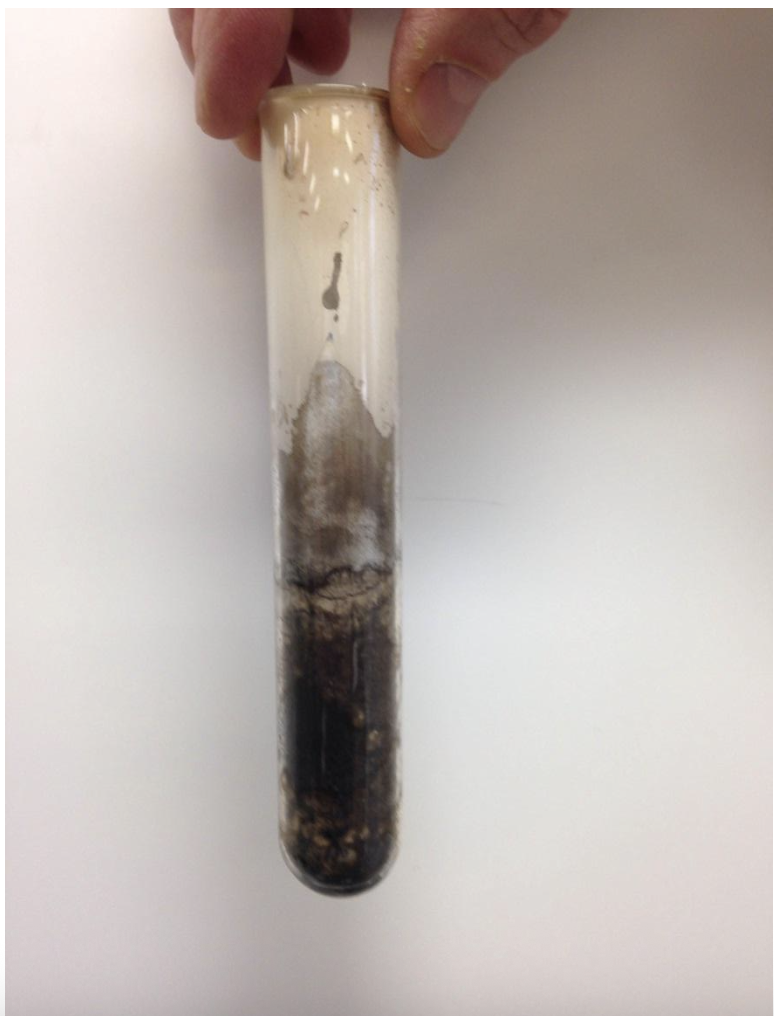 Post Oxidation Gummy