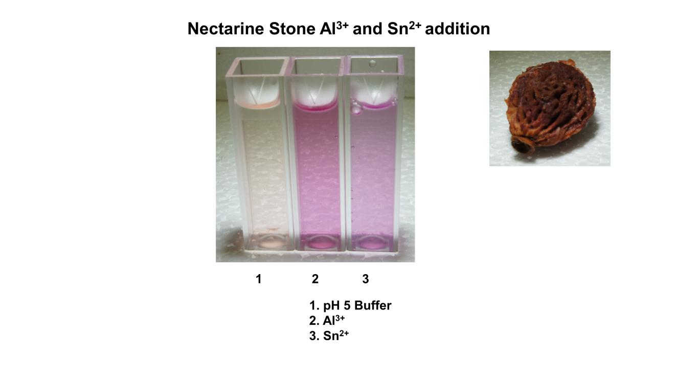 Colourful chemistry of canning 2
