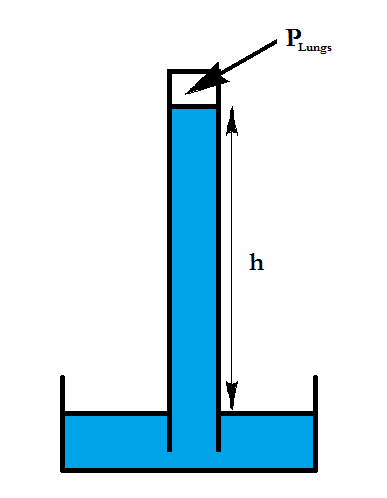 Small Research Projects in the Chemistry Classroom