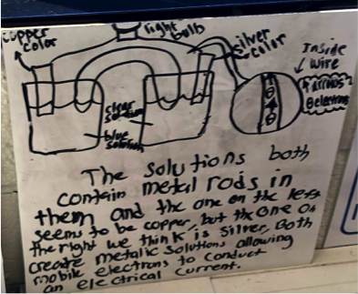 student drawing of cells before unit #2