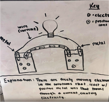 student drawing of cells before unit #1