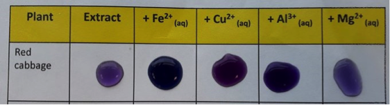 microscale comparison of colors of cabbage juice indicator combined with metals Fe2+, Cu2+, Al3+ and Mg2+