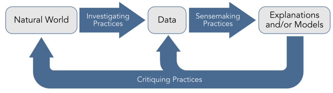 flowchart showing steps of critiquing process