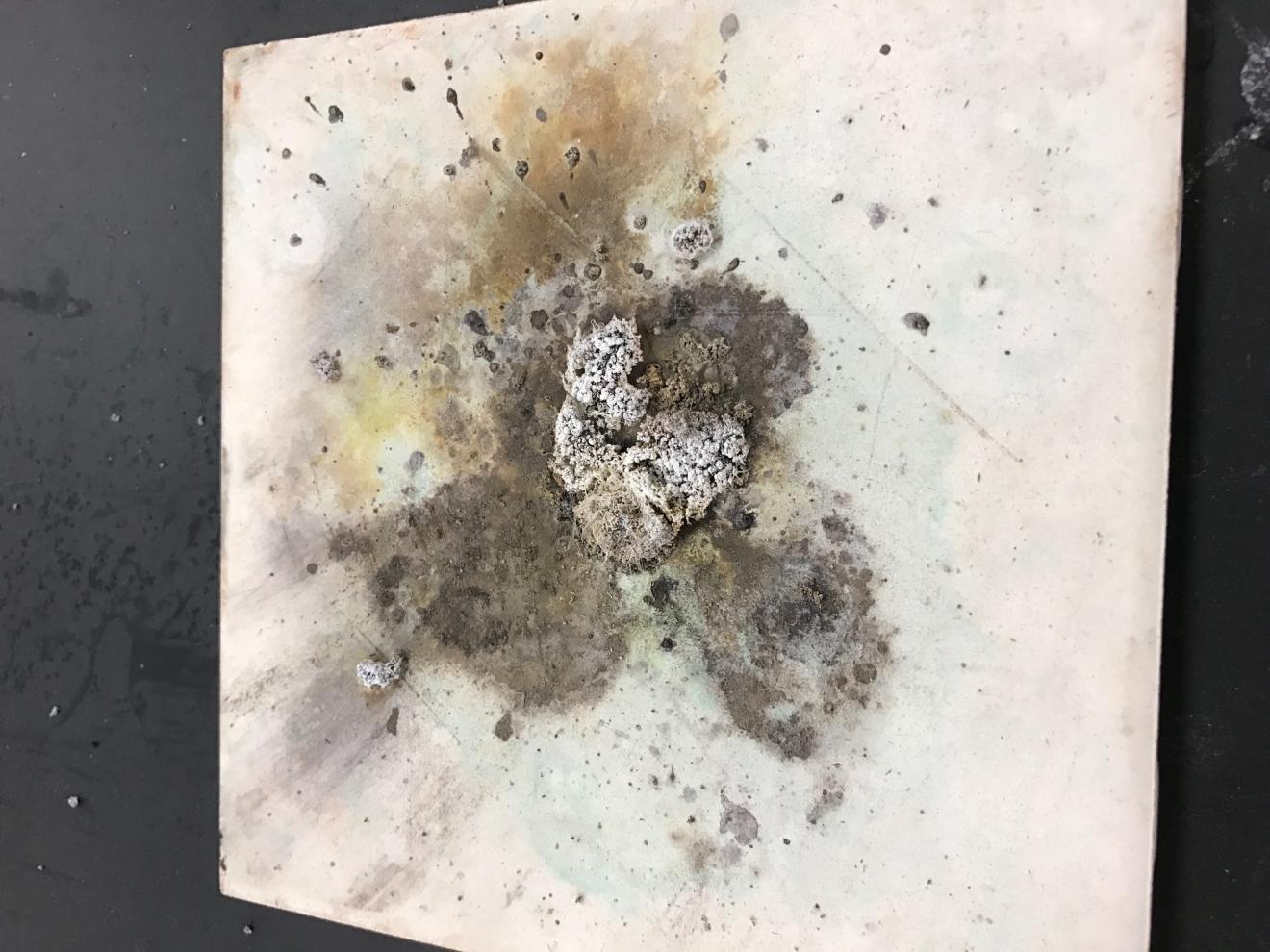 End of Mg and Silver Nitrate Demo