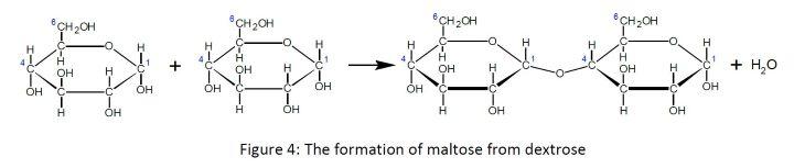 Two dextrose units being joined via 1,4 linkage to from maltose