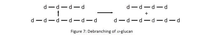 De-branching of alpha glucan