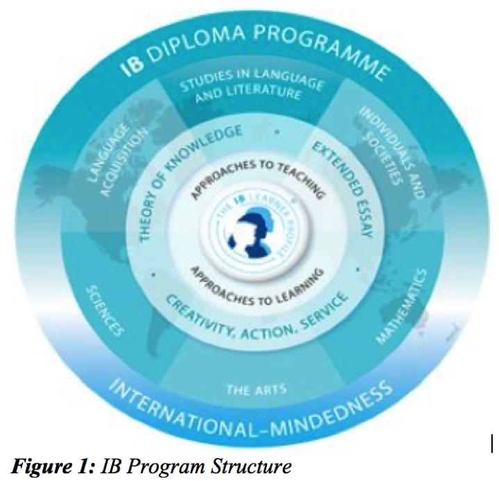 blue image showing structure of IB