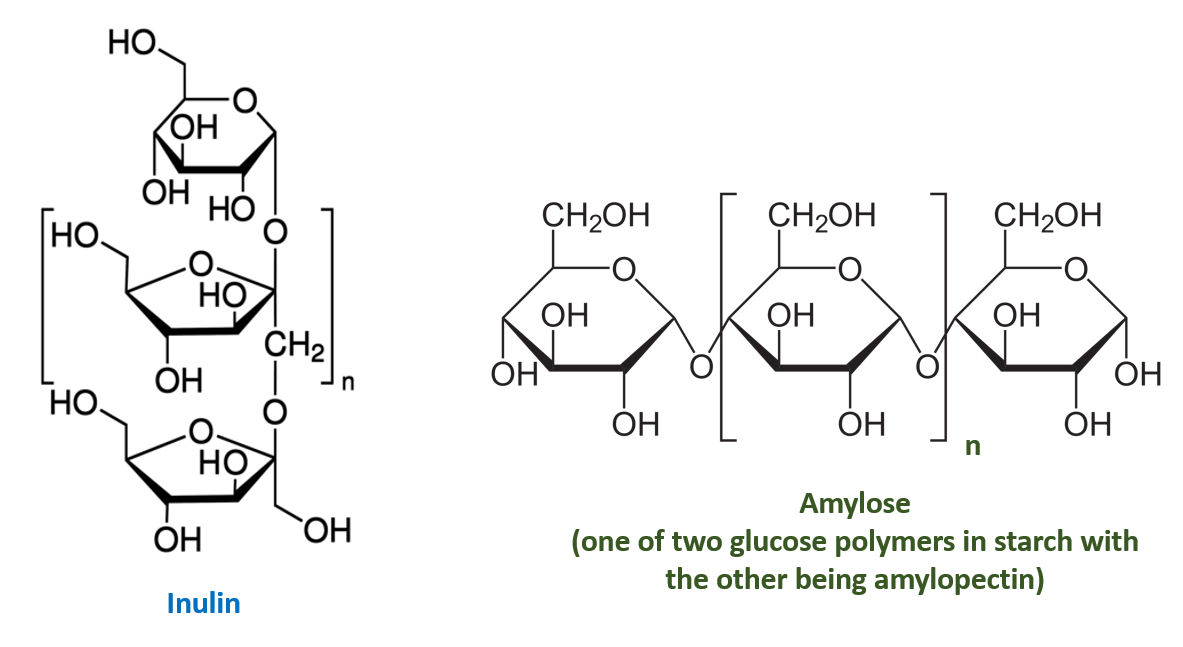 inulin amylose