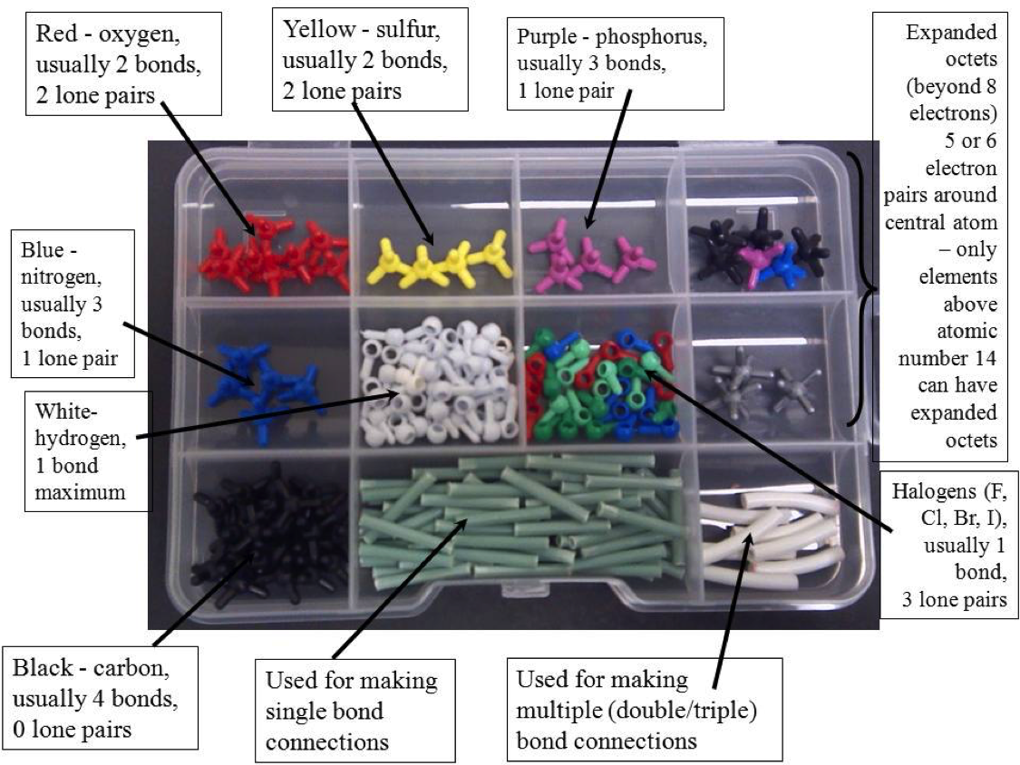 Model kit with labels explaining each piece for the lesson