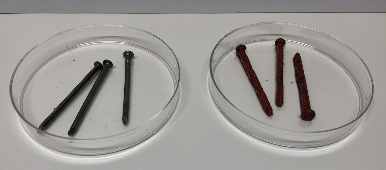 Left dish: Nails BEFORE reaction and Right dish: Nails after reaction