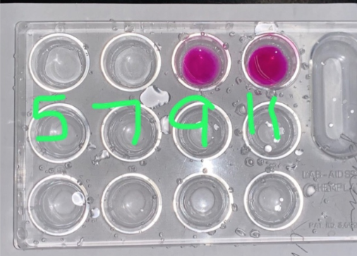 well plate showing color of phenolphthalein indicator in pH values 5, 7, 9, 11