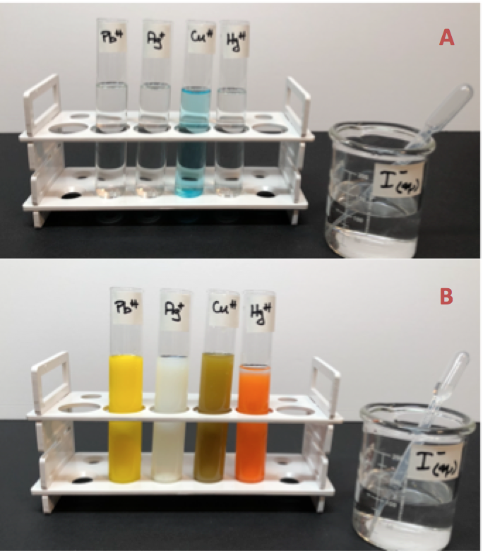 test tubes in racks showing precipitation 