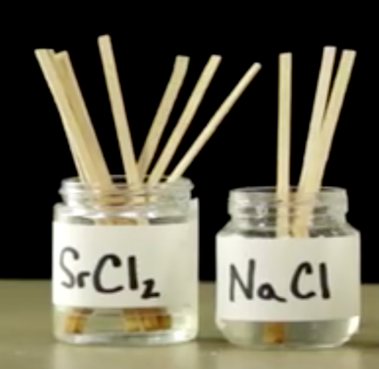 beakers with dissolved salts and wooden sticks that have soaked
