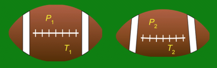 Preview image for Megonigal article