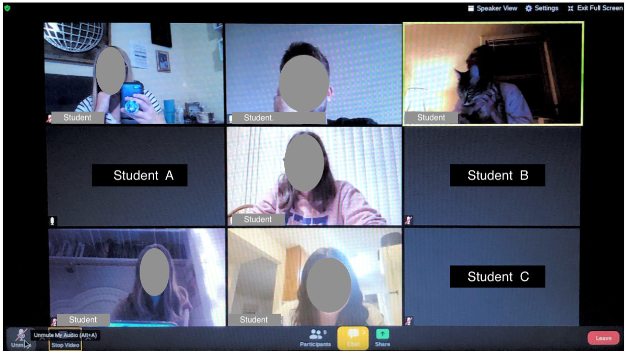 An online study group selfie photo