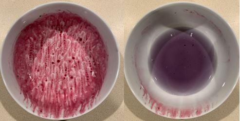 Comparison between frozen blueberry residue and blueberry residue with tap water
