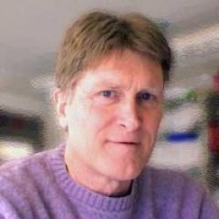 Profile picture for user Jon Holmes