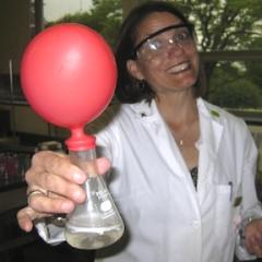 Profile picture for user Sharon Geyer