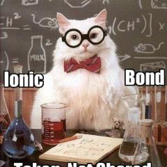 Profile picture for user Amanda Raymond